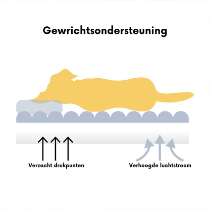 Snoozy Dream Grote Hondensofa - Wasbare Orthopedische Hondenmand Fluffy