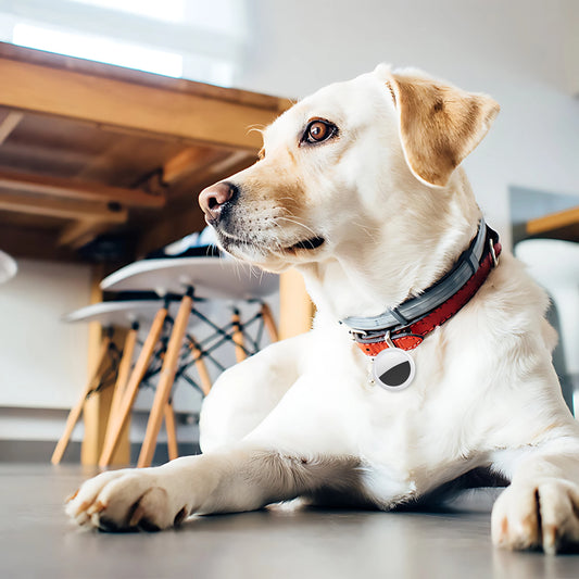 Bluetooth tracker: werkt met IOS en Android